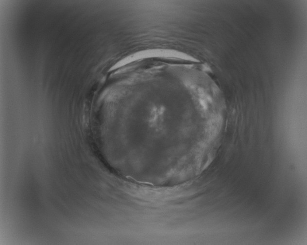 X0000067340043200604211947