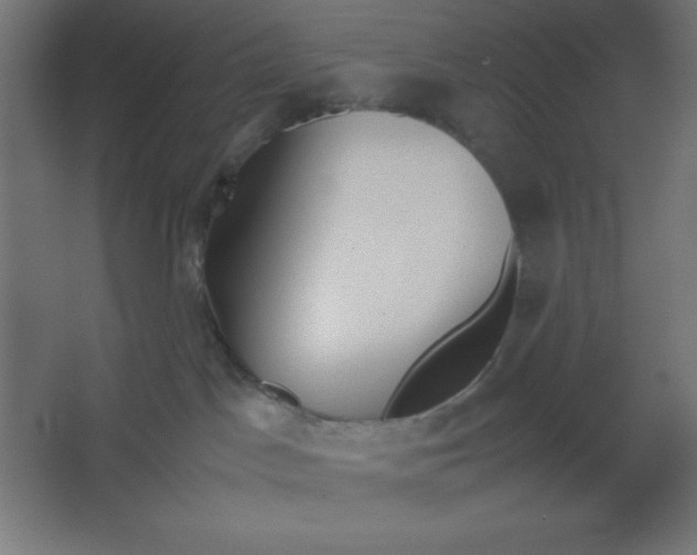 X0000067340045200604211947