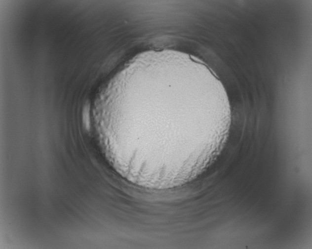 X0000067340046200604211947