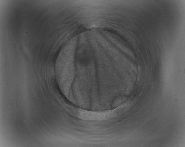 X0000067340048200604211947
