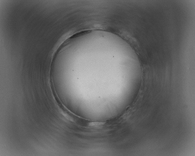 X0000067340051200604211946