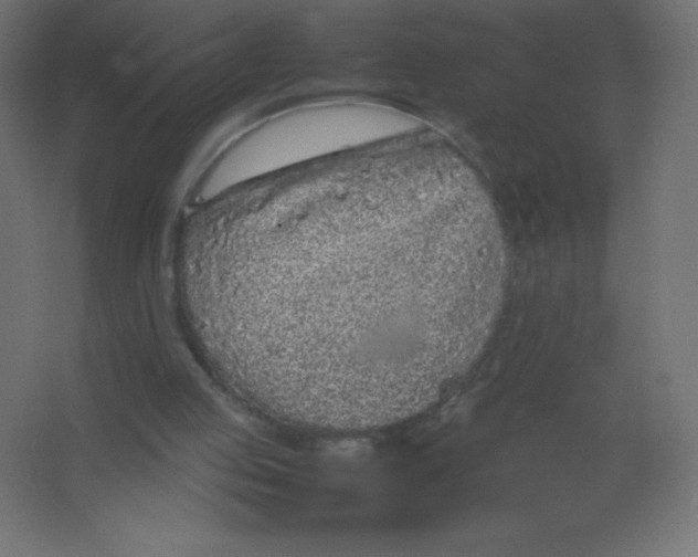 X0000067340053200604211946