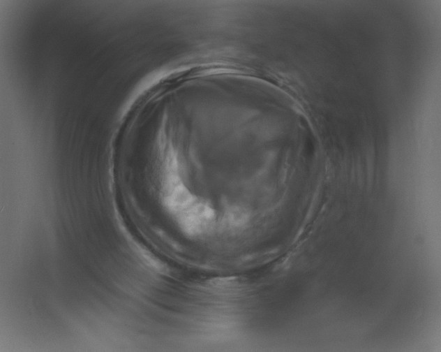 X0000067340054200604211946
