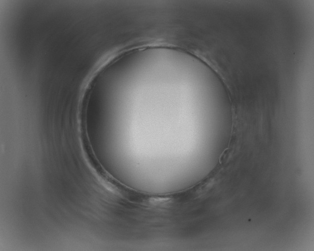 X0000067340055200604211946