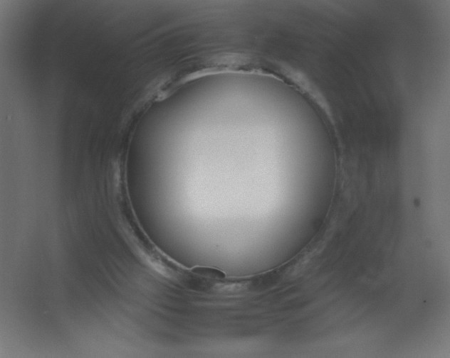 X0000067340057200604211946