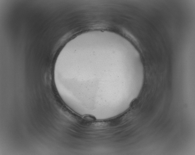 X0000067340059200604211946