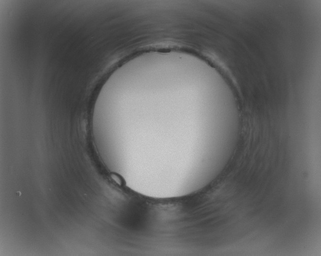 X0000067340063200604211946