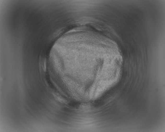 X0000067340076200604211946