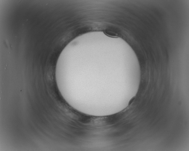 X0000067340078200604211946