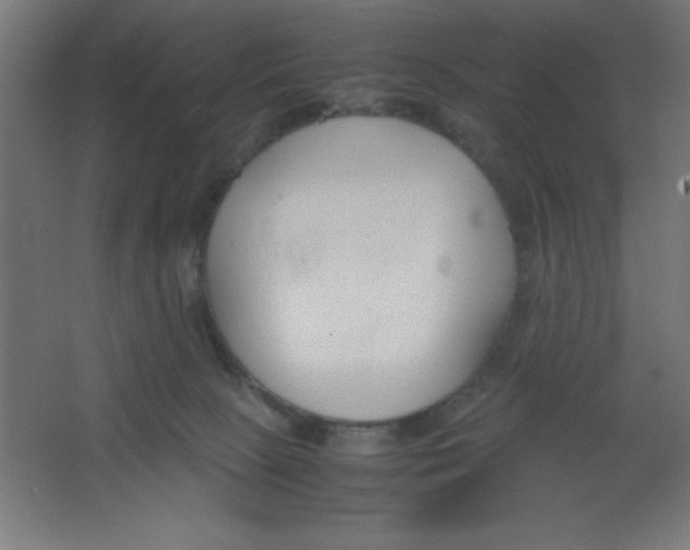 X0000067340081200604211946