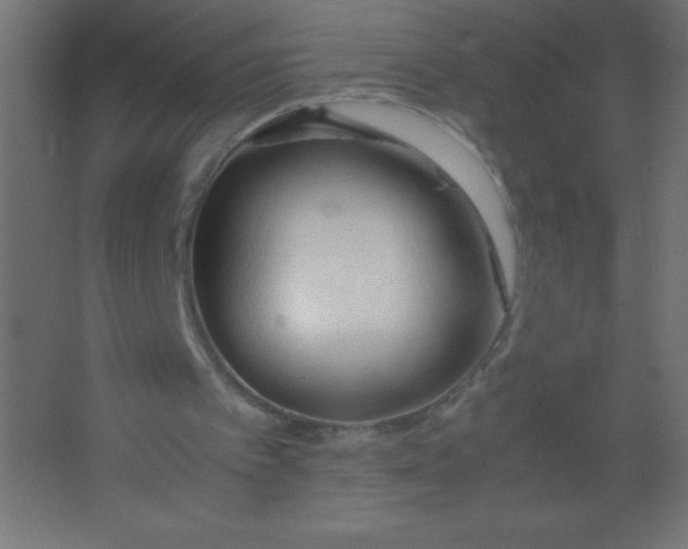X0000067340097200604211946