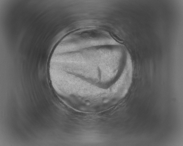 X0000067340099200604211946