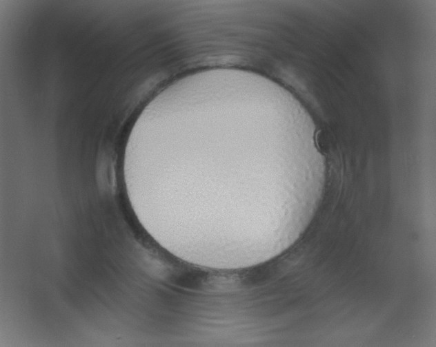 X0000067340110200604211946
