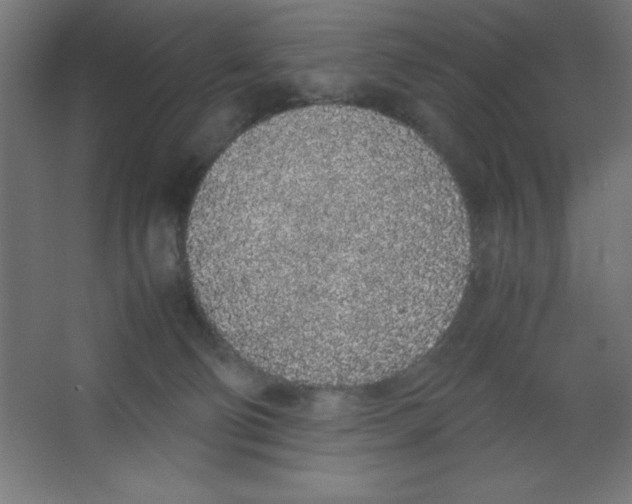 X0000067340130200604211945