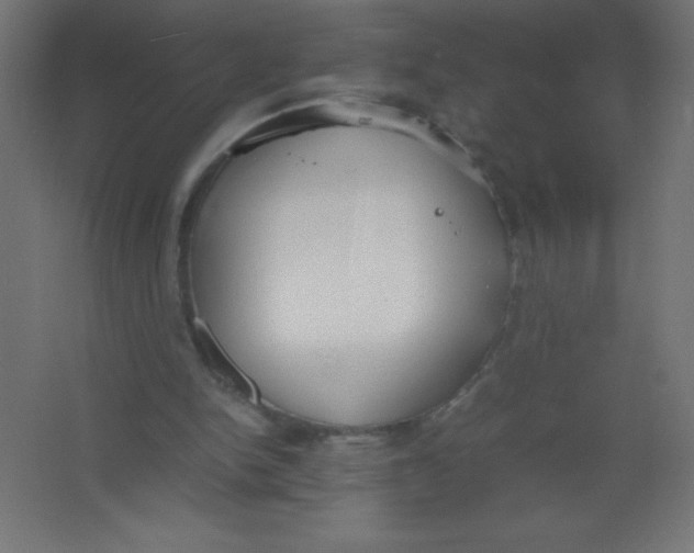 X0000067340150200604211944