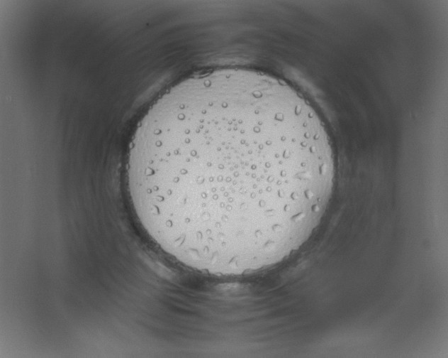 X0000067340153200604211944