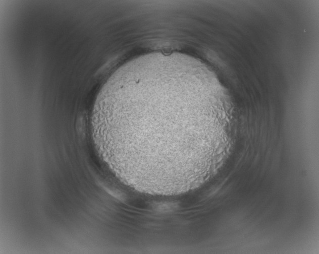 X0000067340165200604211945