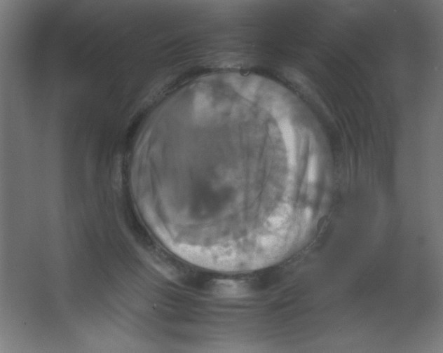 X0000067340167200604211945