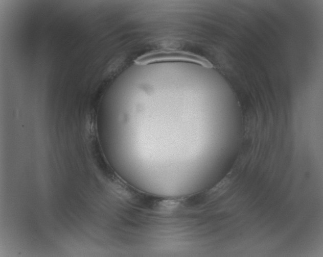 X0000067340176200604211945