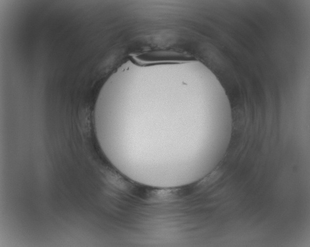 X0000067340184200604211945