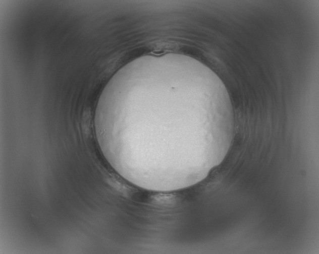 X0000067340189200604211945