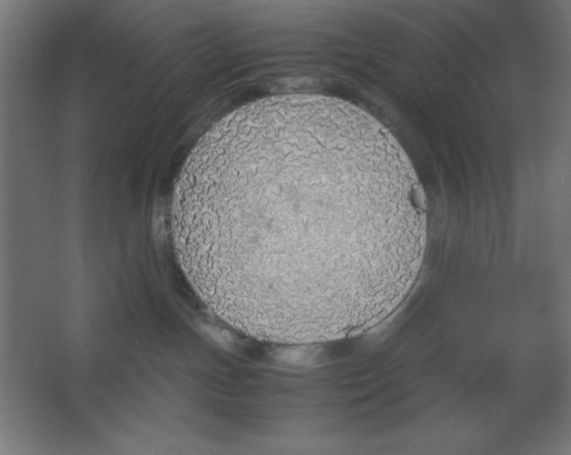 X0000067340191200604211945