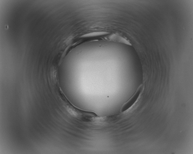 X0000067340192200604211945