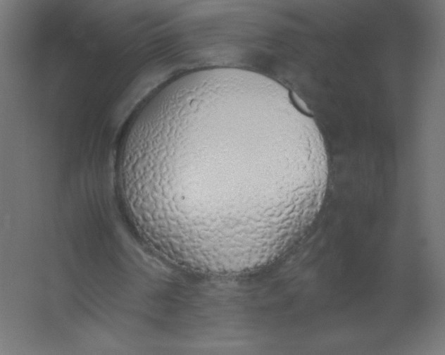 X0000067340194200604211944