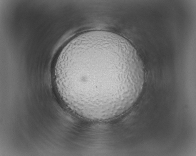 X0000067340198200604211944