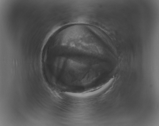X0000067340200200604211944