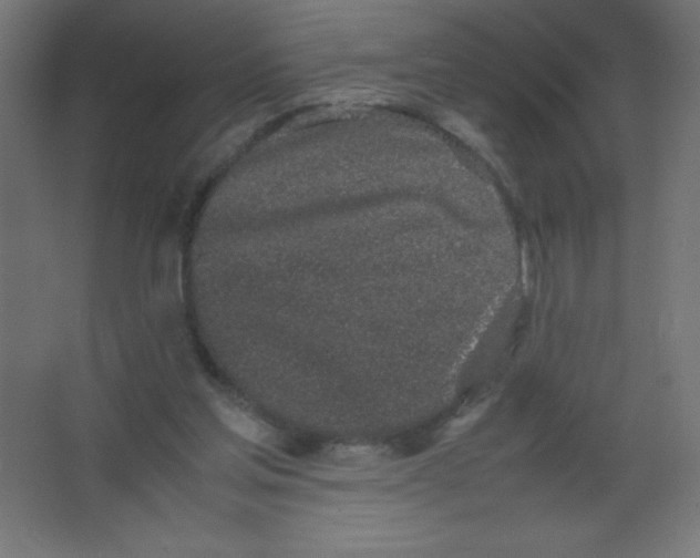 X0000067340205200604211944