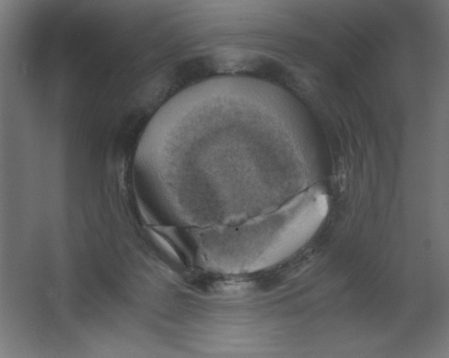 X0000067340219200604211944