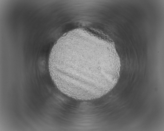 X0000067340222200604211944