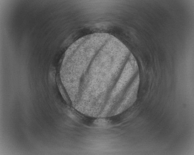 X0000067340231200604211944