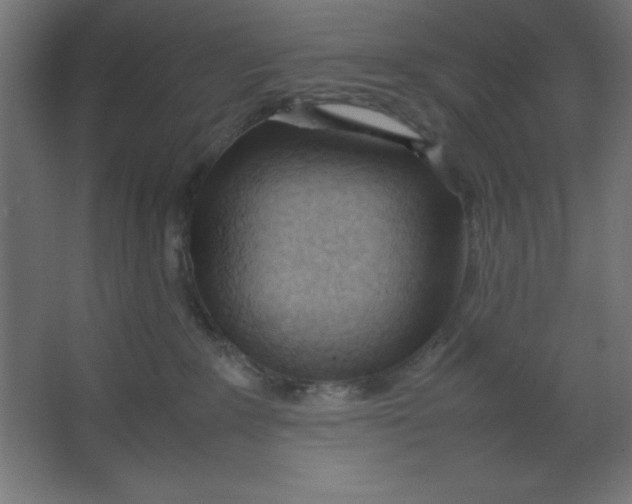 X0000067340235200604211944