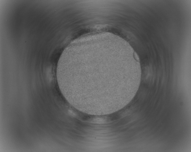 X0000067340236200604211944
