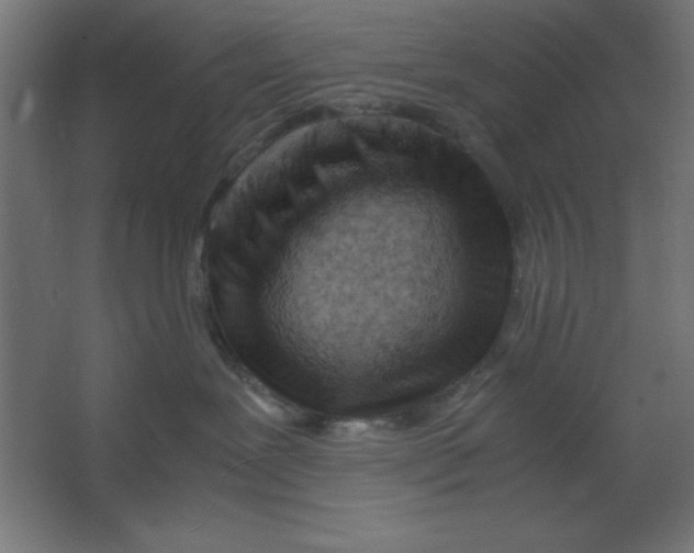 X0000067340239200604211944