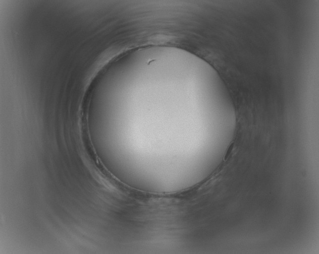 X0000067340242200604211943