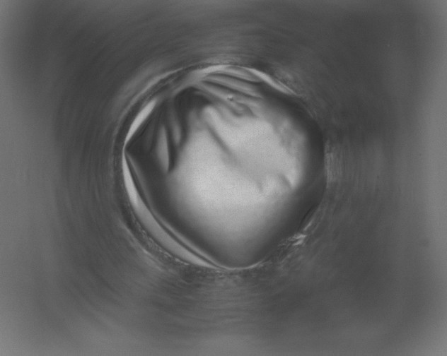 X0000067340243200604211943