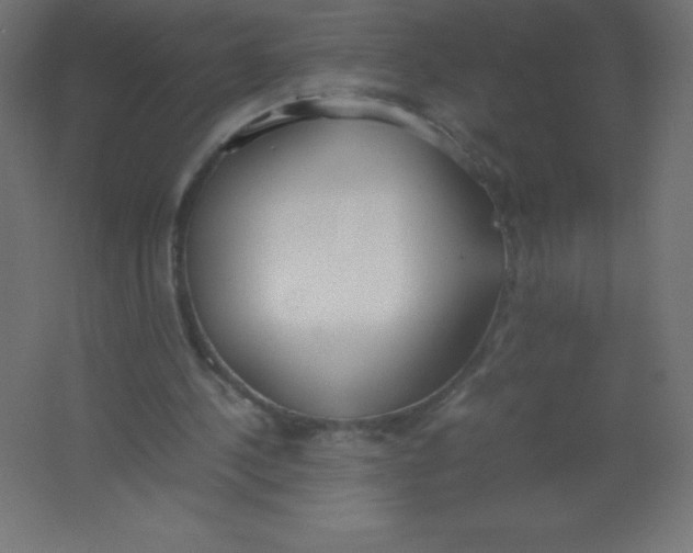 X0000067340244200604211943