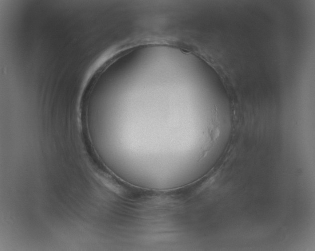 X0000067340246200604211943