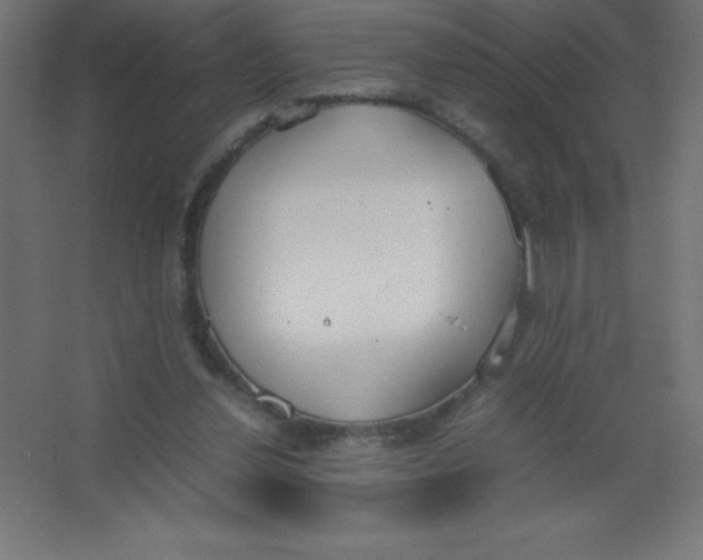 X0000067340252200604211943