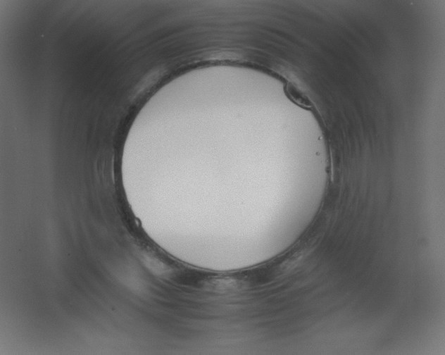 X0000067340253200604211943
