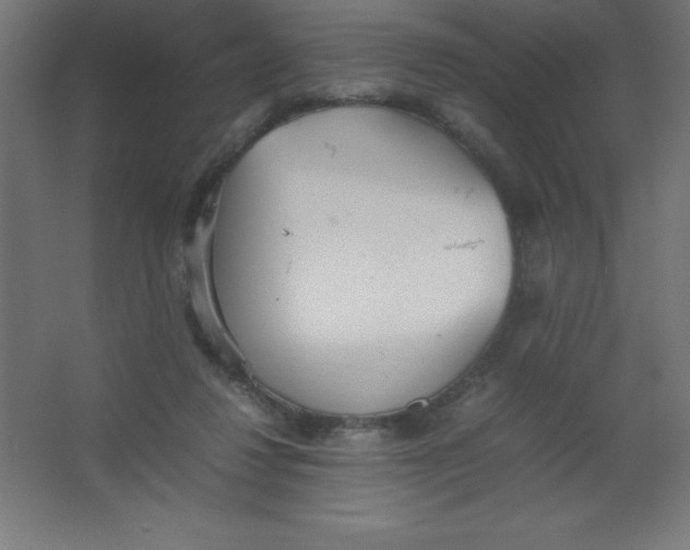 X0000067340260200604211943