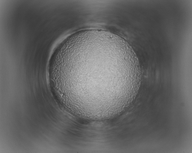 X0000067340294200604211943
