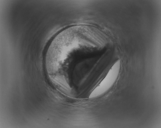 X0000067340295200604211943