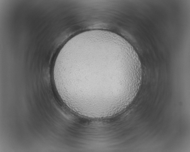 X0000067340298200604211943
