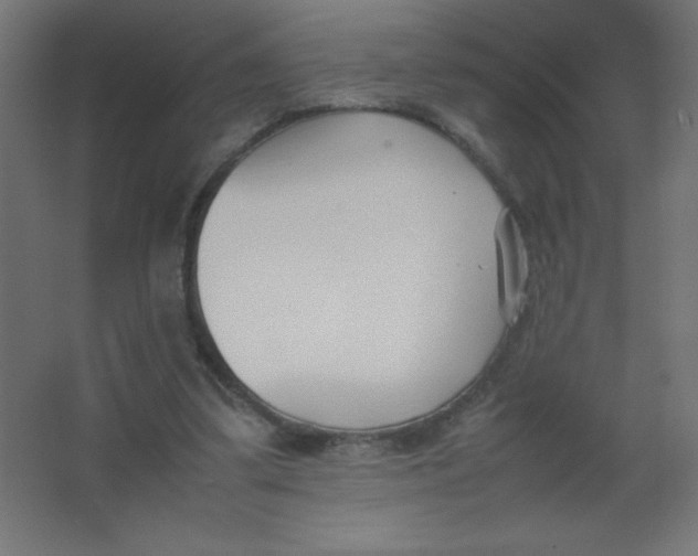 X0000067340299200604211943