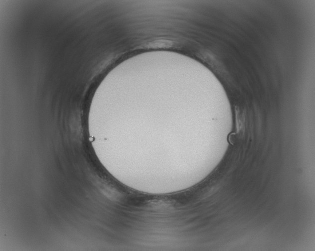 X0000067340300200604211942