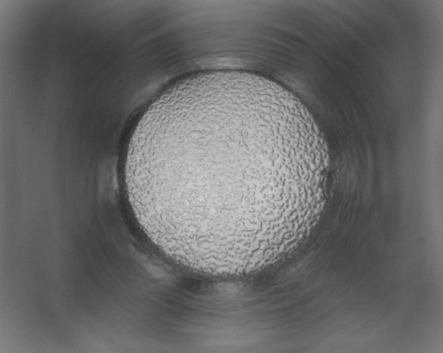 X0000067340302200604211942